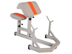 Fitness Fitness